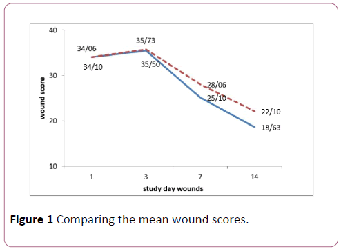 Translational-Biomedicine-mean-wound